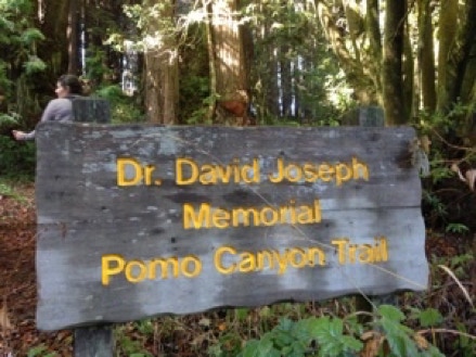 Pomo Canyon Trail sign