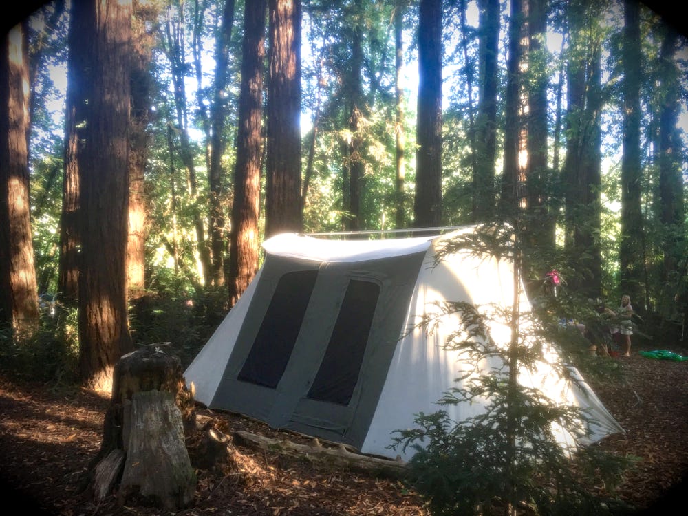 Kodiak Tent, site 24 Epic Kodiak tent in morning sun, site 24 Schoolhouse Campground