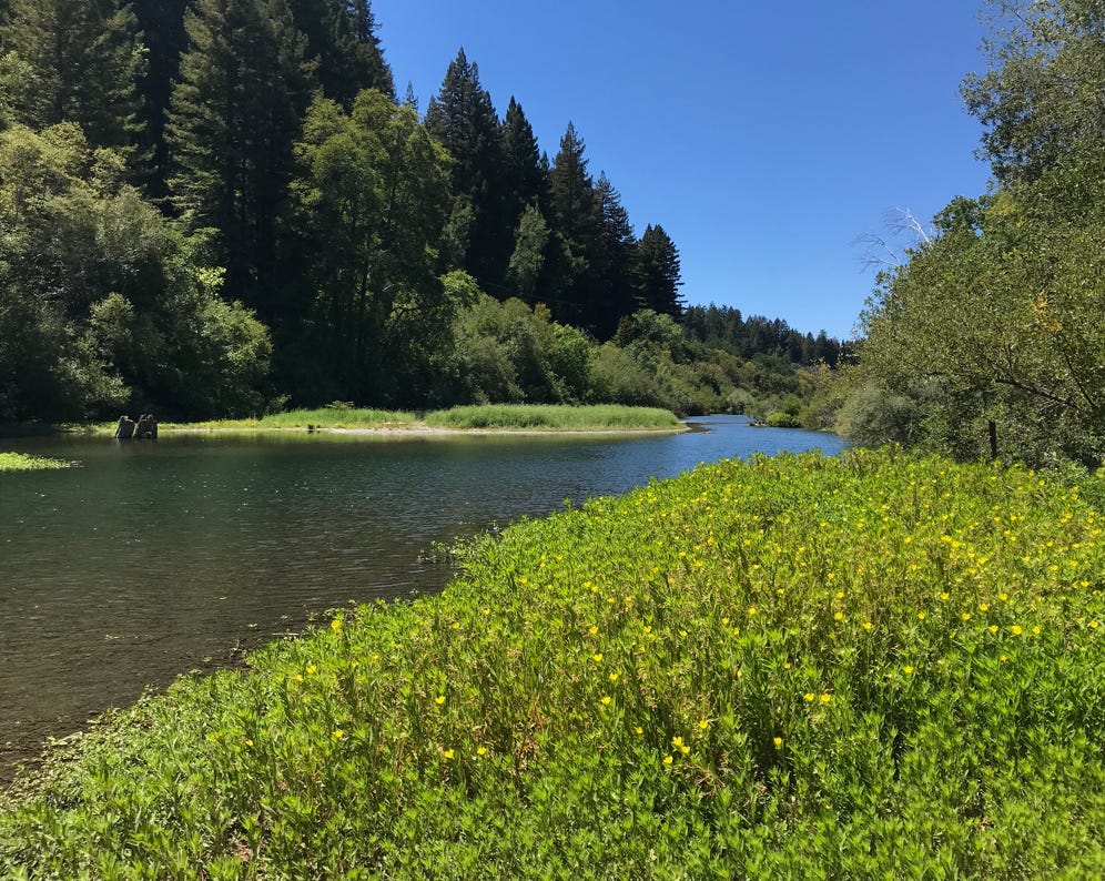 Looking down river from the beach at Schoolhouse campground