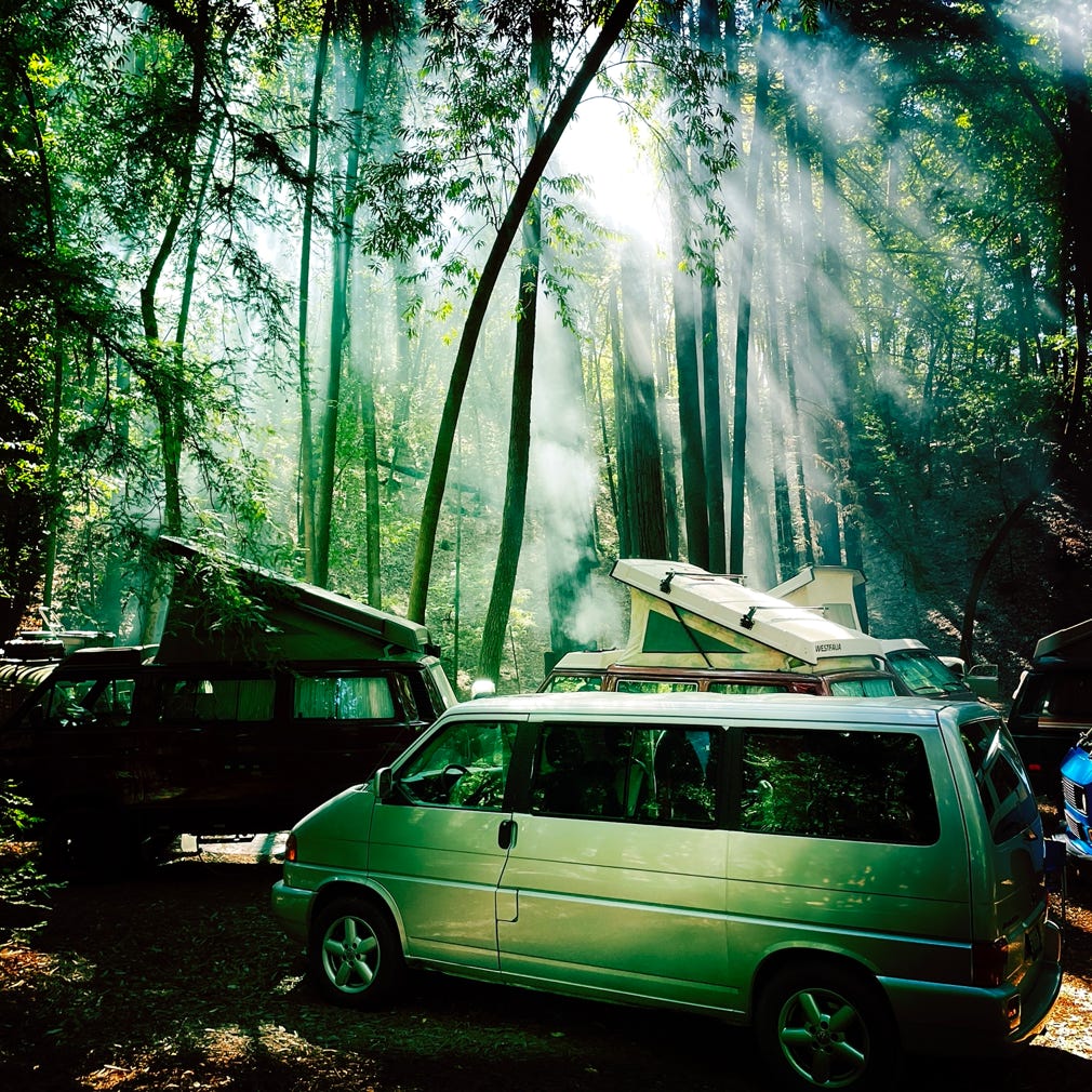 Vintage Westfailias drenched in godrays from morning sunlight in site E