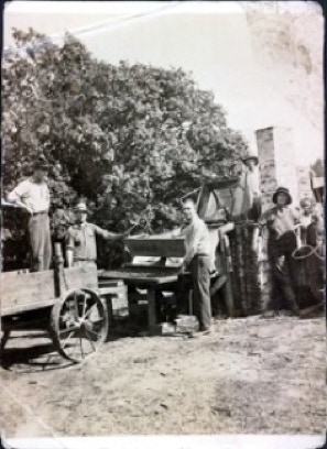 Harvest in Ridenhour's old orchard