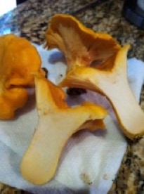 Chanterelle mushrooms on counter cut in half
