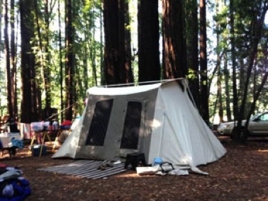 Kodiak tent in redwoods
