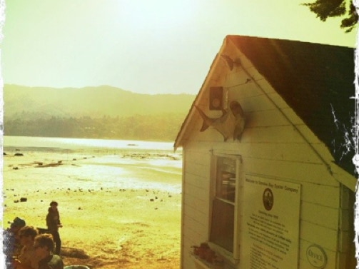 Tomales Bay Oyster Co. office
