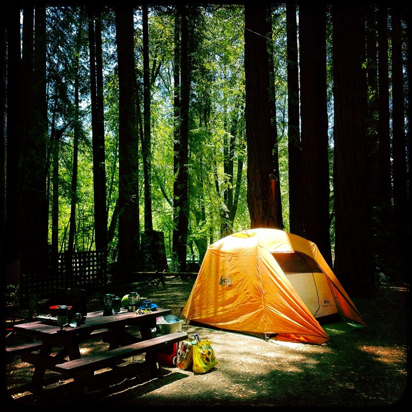 Marmot tent in site 25, with morning sun