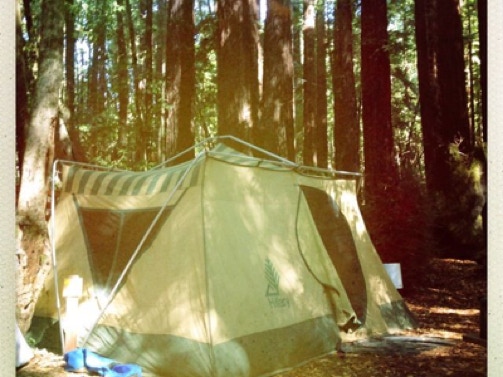 vintage tent in redwoods 